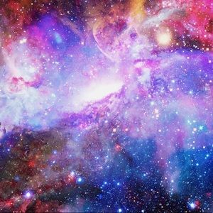 Meet your Posher, Paige